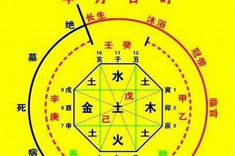 天罗地网 神煞|天罗地网在八字中代表什么意思 八字中的天罗地网查法表